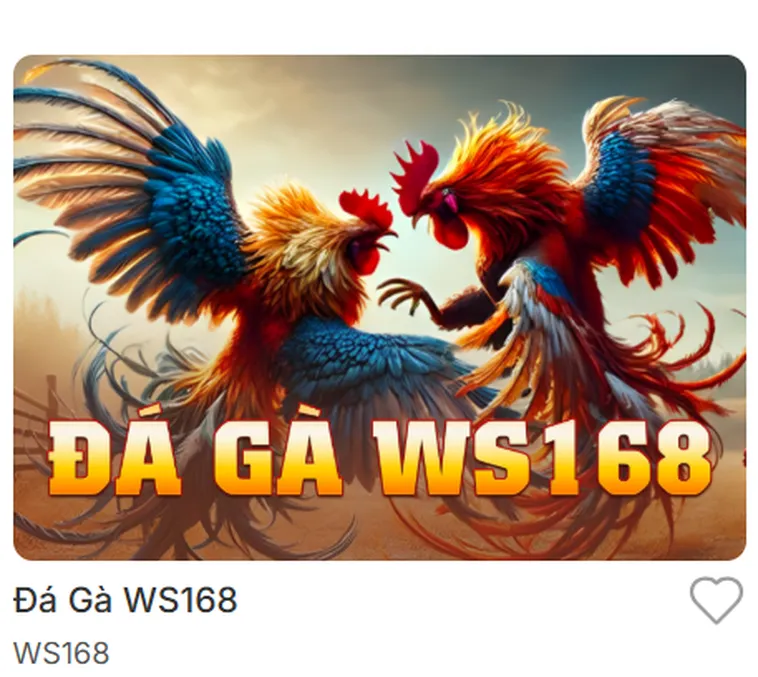 Cẩm Nang Sát Phạt Bảng Kèo Đá Gà WS168 Tại Bin88 Phát Tài Trong Tích Tắc